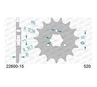 AFAM Pignone standard in acciaio 22600 - 520