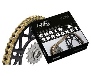 AFAM KIT CATENA 525 TDM 900 118/16/42