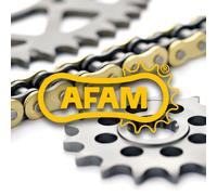 AFAM Kit catena standard Corona standard 520XLR2 13/50