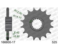 AFAM 166600-17 Pignone catena