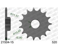 AFAM Pignone standard in acciaio 21504 - 520