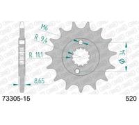 AFAM Pignone standard in acciaio 73305 - 520
