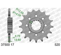 AFAM Pignone anteriore standard in acciaio - 520, taglia 10 mm