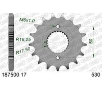 AFAM Pignone anteriore standard in acciaio - 530