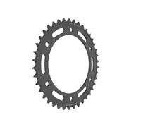 Afam Rocchetto per catena 10617-45 – 45 denti Acciaio Argento