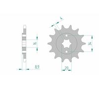 Afam Pignone catena 21300-13 Acciaio standard Passo 520