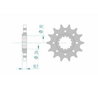 AFAM Pignone standard in acciaio 21805 - 525