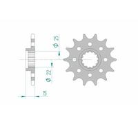 AFAM Pignone standard in acciaio 24509 - 520