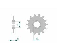 AFAM Pignone standard in acciaio 94313 - 520