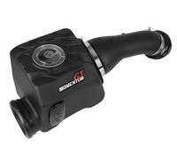 Afe Filtri 50-70022D Momentum Gt Pro Asciutto S Aria Presa Sistema Per 10-22