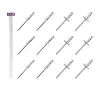 Affare Clip Strip Sealey - Rivetti In Alluminio RVSET