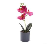 Affascinante fiore di orchidea, perfetto per la casa o l'ufficio, aggiunge un tocco di natura ovunque (viola)