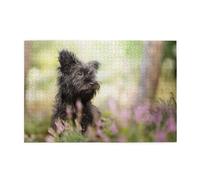 Affenpinscher Lawn Black Dogs Monkey Terrier,Puzzle in legno da 1000 pezzi per famiglie, puzzle per adulti e adolescenti
