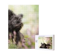 Affenpinscher Lawn Black Dogs Monkey Terrier,Puzzle in legno da 300 pezzi per adulti e adolescenti