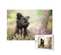Affenpinscher Lawn Black Dogs Monkey Terrier,Puzzle in legno da 300 pezzi per famiglie, per adulti e adolescenti, decorazioni per la casa