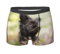 Affenpinscher Lawn Black Dogs Monkey Terrier, Slip Boxer da Uomo, Comodi e Morbidi, Elasticizzati