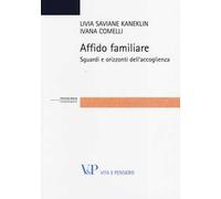 Affido familiare. Sguardi e orizzonti dell'accoglienza