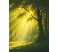 Affirmation Journal - Path of Light: Daily affirmations to restore calm, clarity, and inner strength