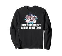 Affittacamere Juckt Mich Nicht Bin Im Ruhestand Rente Felpa