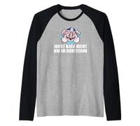 Affittacamere Juckt Mich Nicht Bin Im Ruhestand Rente Maglia con Maniche Raglan
