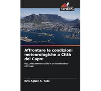 Affrontare le condizioni meteorologiche a Città del Capo:: Uso, adattamento e sfide in un insediamento informale