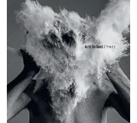 AFGHAN WHIGS - DO TO THE BEAST
