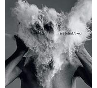 The Afghan Whigs Do to the Beast (CD) Album