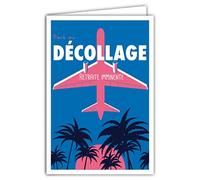Afie 69-4343 - Biglietto di auguri per il decollo, con busta, mini poster, formato 17 x 11,5 cm, arrivederci, buona continuazione, cambiamento vita, aereo, palme, retrò, vintage, colore: rosa/blu