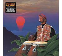 afla sackey & afrik bawantu-destination