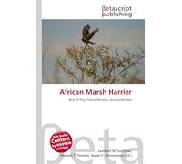 African Marsh Harrier: Bird of Prey, Falconiformes, Accipitriformes