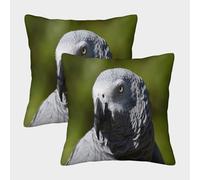 African Parrot-Wildlife Photography Style Federe Cuscini Per Divano Decorative Art Fodere Per Cuscini Confezione Da 2 Moderni Del Divano Arredamento 40x40cm