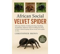 African Social Velvet Spider