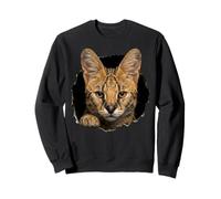 Africano Serval Breaking Through Torn Hole Wild Cat Graphic Felpa