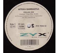 Afrika Bambaataa - Feeling Irie (Jumpin' Club Mix) / Vinyl Maxi Single [Vinyl 12'']