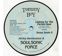 Afrika Bambaataa & Soulsonic Force - Lookin for the Perfect Beat
