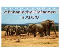 Afrikanische Elefanten in ADDO (Tischkalender 2026 DIN A5 quer), CALVENDO Monatskalender: Bilder aus dem ADDO Elephant National Park/Südafrika.