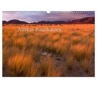 Afrikas Raubkatzen (Wandkalender 2026 DIN A3 quer), CALVENDO Monatskalender: Ganz nah dran an den eleganten Jägern