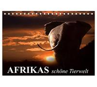 Afrikas schöne Tierwelt (Tischkalender 2026 DIN A5 quer), CALVENDO Monatskalender: Die vielfältige Tierwelt Afrikas ganz nah bestaunen