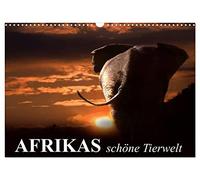 Afrikas schöne Tierwelt (Wandkalender 2026 DIN A3 quer), CALVENDO Monatskalender: Die vielfältige Tierwelt Afrikas ganz nah bestaunen