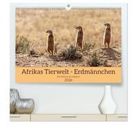 Afrikas Tierwelt - Erdmännchen (hochwertiger Premium Wandkalender 2026 DIN A2 quer), Kunstdruck in Hochglanz: Ganz nah dran an den supersymphatischen ... der afrikanischen Kalahari beheimatet sind.