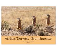 Afrikas Tierwelt - Erdmännchen (Tischkalender 2026 DIN A5 quer), CALVENDO Monatskalender: Ganz nah dran an den supersymphatischen Erdmännchen, die in der afrikanischen Kalahari beheimatet sind.