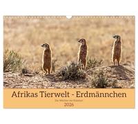 Afrikas Tierwelt - Erdmännchen (Wandkalender 2026 DIN A3 quer), CALVENDO Monatskalender: Ganz nah dran an den supersymphatischen Erdmännchen, die in der afrikanischen Kalahari beheimatet sind.