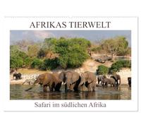 Afrikas Tierwelt, Safari im südlichen Afrika (Wandkalender 2026 DIN A2 quer), CALVENDO Monatskalender: Wildtiere und Vögel vom südlichen Afrika.