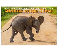 Afrikas wilde Tiere (Tischkalender 2026 DIN A5 quer), CALVENDO Monatskalender: Bilder einer atemberaubenden Safari durch Süd- und Ostafrika