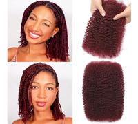 Afro Kinkys - Capelli umani per extension di dreadlock, 50 g/confezione, trecce Marley Twist, mini twist con molla, per riparazione Locs (Bug#, 30,5 cm (confezione da 1)