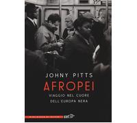 Afropei. Viaggio nel cuore dell'Europa nera - Pitts Johny
