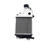 AFSDGDUBQY Kit radiatore per Honda PCX160 WH150T-2 Raffreddatore | Assemblaggio del sistema di raffreddamento Radiatore del radiatore del radiatore del motore della