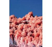 After Nature Ulrike Crespo Photography Prize 2025 - Lisa Barnard
