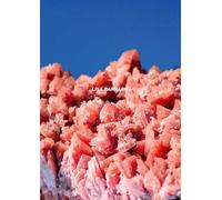 After Nature Ulrike Crespo Photography Prize 2025 - Lisa Barnard: Lisa Barnard