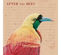 After The Bees - Let'S Rise!